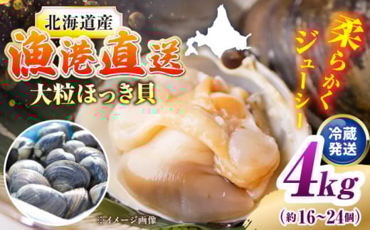【北海道】7月以降順次発送！厚真町近海で獲れた 活ほっき貝 4kg（約16〜24個）《厚真町》【鵡川漁業協同組合】 ほっき ほっき貝 ホッキ ホッキ貝 北寄貝 海鮮 冷蔵配送 北海道 [AXAL006]