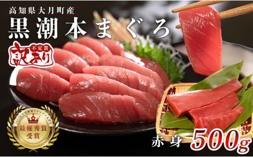 【訳あり】本マグロ 赤身500g 不定貫 養殖マグロ 高知県産 指定日発送可能 1391403 - 高知県大月町