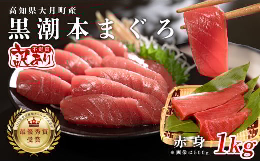 【訳あり】本マグロ 赤身1kg 不定貫 養殖マグロ 高知県産 指定日発送可能 2148203 - 高知県大月町