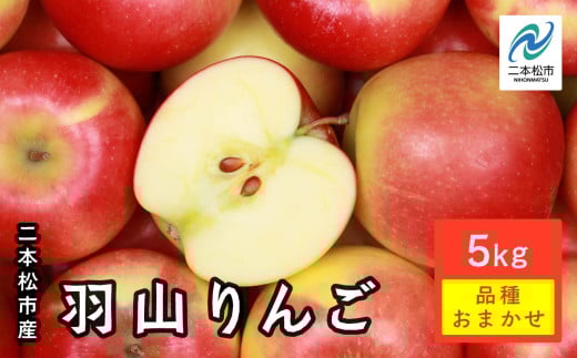 《2025年9月下旬以降発送》羽山りんご品種おまかせ(早生・中早生)5Kg りんご リンゴ 林檎 国産りんご フルーツ 果物 人気 ランキング おすすめ ギフト 故郷 ふるさと 納税 福島 ふくしま 二本松市 送料無料【羽山果樹組合】 329878 - 福島県二本松市