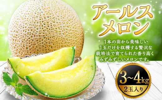 アールスメロン 2玉（3kg～4kg） 山形県産 【2025年9月順次発送予定】 911508 - 山形県白鷹町