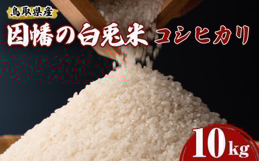 ＜2025年9月下旬〜2026年8月下旬発送予定＞＜数量限定＞【因幡の白兎米】令和7年産新米コシヒカリ10kg(5kg×2袋)【sm-DD069】【Workplays】 2144788 - 鳥取県境港市