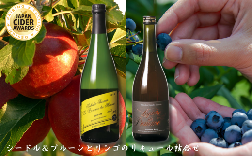 シードル＆プルーンとリンゴのリキュール詰合せ【限定30箱】［RS-103］