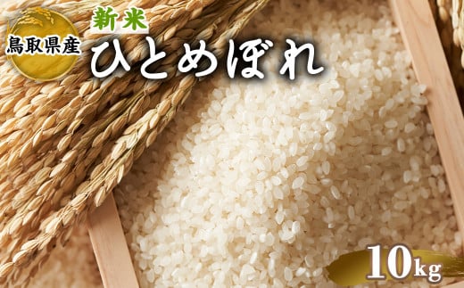 ＜2025年9月中旬～2026年8月下旬発送予定＞＜数量限定＞令和7年産新米鳥取県産ひとめぼれ(10kg)【sm-DD063】【Workplays】 2144784 - 鳥取県境港市