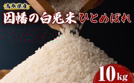 ＜2025年9月中旬～2026年8月下旬発送予定＞＜数量限定＞【因幡の白兎米】令和7年産新米ひとめぼれ10kg(5kg×2袋)【sm-DD068】【Workplays】 2144777 - 鳥取県境港市