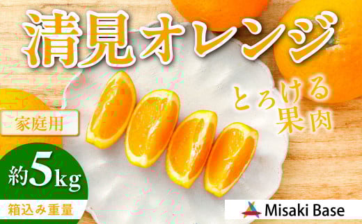 【先行受付】【家庭用】清見オレンジ 5kg ※離島への配送不可 （2026年3月中旬より順次発送）  【 ふるさと納税 人気 おすすめ ランキング みかん 柑橘 ミカン 蜜柑 mikan 果物 清見 清見オレンジ フルーツ 糖度 甘い きよみ タンゴール 温州 オレンジ 家庭用 おすそ分け Misaki Base 愛媛県 伊方町 送料無料 】 IKTAB007  2096232 - 愛媛県伊方町