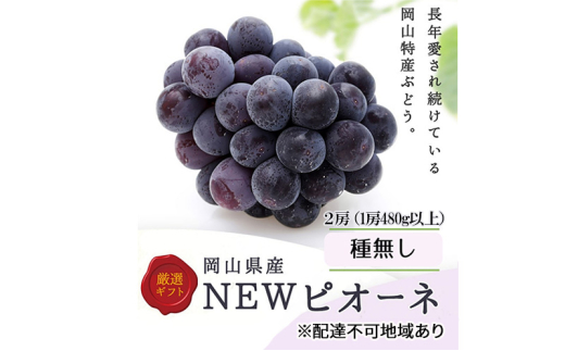 ぶどう 2025年 先行予約 ニューピオーネ 2房(1房480g以上) 化粧箱入り ブドウ 葡萄 岡山県産 国産 フルーツ 果物 ギフト[№5735-3268]
