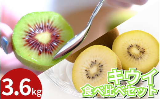訳あり キウイフルーツ 食べ比べ セット3.6kg 先行予約 2025年10月上旬～ 年内に発送予定 ゴールデンキウイ 紅妃 レインボーレッド キウイ 国産 果物 デザート スイーツ ケーキ ゼリー ジュース ジャム シャーベット アイス  フルーツ ギフト プレゼント 贈答 送料無料 徳島県 吉野川市 くゆな農園 2149117 - 徳島県吉野川市