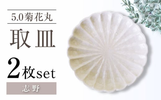 【瀬戸焼】5.0菊花丸取皿 志野 2枚セット 【ヤマハツクリタ株式会社】 [BBDV024]