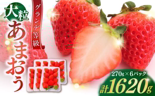 【2026年3月初旬より順次発送】 あまおう いちご 1620g (約270g×6パック) 吉富町/株式会社HSP-テクノ [BGBQ002]