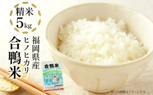グランドセール 令和7年産 新米予約 合鴨米「元気つくし」（精米・5kg）数量限定 米・雑穀・粉類