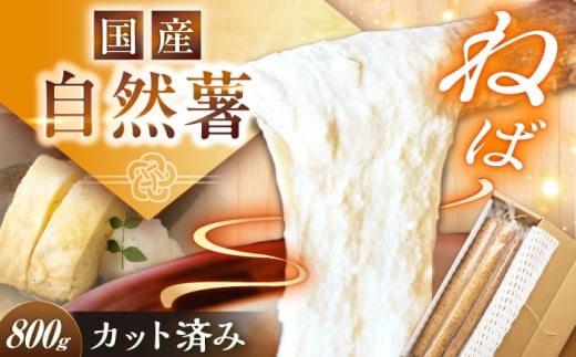 【定番人気】自然薯 中（800g）/ 自然薯 じねんじょ 贈答 / 恵那市 / 水戸屋 [AUFZ009]