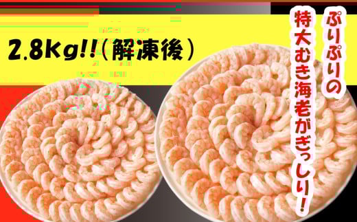 【G0648】特大ムキエビ2.8kg