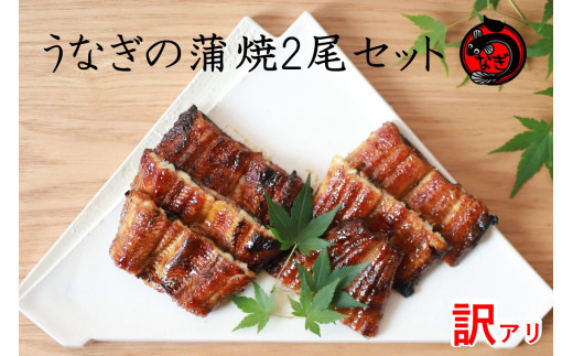 訳アリ!うなぎ蒲焼2尾セット[B-186]国産 特大 うなぎ 鰻 ウナギ 蒲焼 有頭 訳あり お取り寄せ 冷凍
