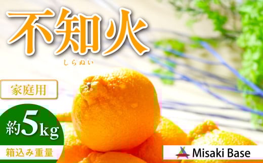 【先行受付】【家庭用】不知火（しらぬい） 5kg ※離島への配送不可（2026年2月中旬より順次発送）  【 ふるさと納税 人気 おすすめ ランキング みかん 柑橘 ミカン 蜜柑 mikan 果物 不知火 しらぬい フルーツ 糖度 甘い でこぽん デコポン でこぽんと同品種 家庭用 おすそ分け Misaki Base 愛媛県 伊方町 送料無料 】 IKTAB003  2096228 - 愛媛県伊方町