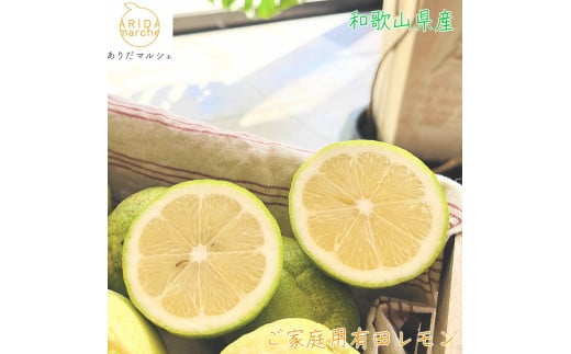 【先行予約】 紀州 和歌山 ご家庭用 有田 レモン 【防腐剤・ワックス不使用】【農家直送】【訳あり】 1.5kg※北海道・沖縄・離島への配送不可 ※2025年9月下旬～2026年3月下旬頃に順次発送予定