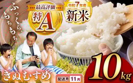令和7年度産 新米 きぬむすめ 白米 10kg 先行予約 ＜ 2025年11月～より順次発送予定 ＞ ｜ 精米 新米 白米 米 お米 コメ 単一米 きぬむすめ 山口 美祢 秋吉台 10kg