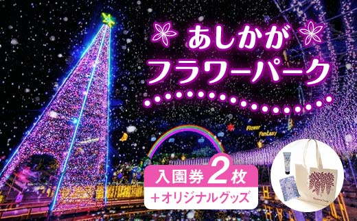 【ふるさと納税】あしかがフラワーパーク入園券（2枚）+オリジナルグッズ F7Z-751 699866 - 栃木県足利市