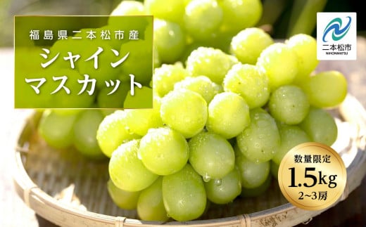 《2025年9月中旬以降発送》羽山のぶどうシャインマスカット1.5kg ぶどう シャインマスカット フルーツ 果物 ブドウ 葡萄 旬 グルメ おいしい 人気 ランキング おすすめ ギフト 福島 ふくしま 二本松市 送料無料【羽山果樹組合】 1009241 - 福島県二本松市