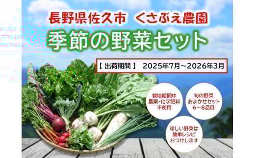 くさぶえ農園『季節の野菜6～8品目セット』（2025年7月～2026年3月出荷／北海道・沖縄・離島は配送不可）高原 無農薬 産地直送 新鮮 旬彩 簡単レシピ 先行予約【 産直 高原野菜 季節の野菜 旬の野菜 有機野菜 有機栽培 農薬 化学肥料 不使用 佐久市 】 1408491 - 長野県佐久市