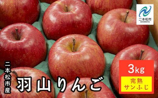 [2025年12月上旬以降発送]羽山りんご 完熟サンふじ 3kg りんご リンゴ 林檎 国産りんご フルーツ 果物 人気 ランキング おすすめ ギフト ふるさと 納税 福島 ふくしま 二本松市 送料無料[羽山果樹組合]