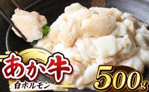 あか牛 白 ホルモン 500g ( 250g × 2P ) | 熊本県 熊本 くまもと 和水町 なごみ 牛肉 牛 あか牛 赤牛 肉 にく ホルモン 内臓 おまかせ 日本原産 国内肥育 冷凍