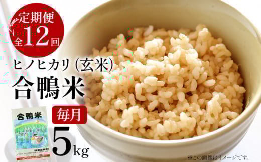 令和7年産 新米予約 合鴨米「ヒノヒカリ」（玄米・5kg）定期便12回コース 数量限定 ※令和7年10月スタートの定期便 BI06