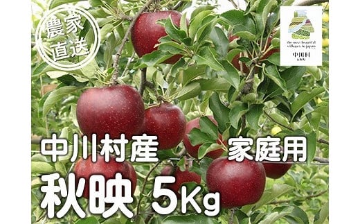 担当者おすすめ「味覚の里なかがわ」の旬のくだもの（秋映自家用５Kg箱）10月１～15日頃発送