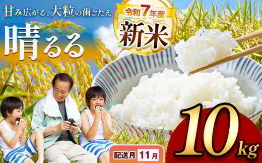 令和7年度産 新米 晴るる 白米 10kg 先行予約 ＜ 2025年11月～より順次発送予定 ＞ ｜ 精米 新米 白米 米 雑穀 お米 コメ 単一米 晴るる はるる  山口 美祢 秋吉台 10kg