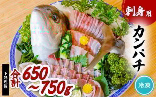カンパチ 刺身用 約650ｇ～750ｇ かんぱち 勘八 小分け 養殖 冷凍