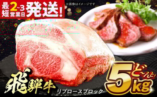 飛騨牛 極上 リブロース ブロック 5kg 多治見市 / 養老ミート 冷凍 和牛 ギフト [THG015] 2148120 - 岐阜県多治見市
