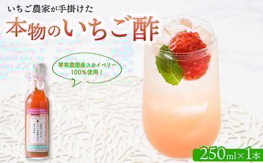 琴寄農園産スカイベリー100％使用 いちご農家が手掛けた「本物のいちご酢」 無添加 飲む果実酢 4倍希釈タイプ