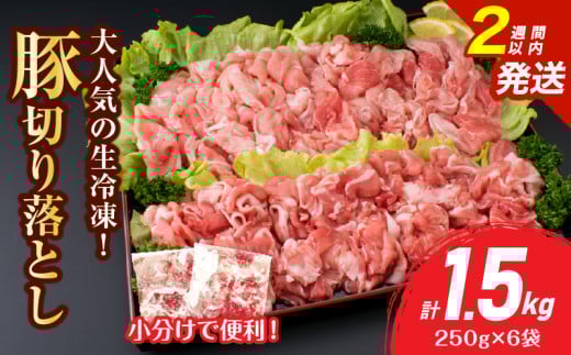 大人気 生冷凍 厳選 豚切り落とし 計1.5kg 豚肉 おすすめ 国産 食品 焼肉 肉じゃが 豚汁 野菜炒め おかず お弁当 晩ご飯 グルメ 小分け 個包装 真空パック おすそ分け お取り寄せ 新鮮 万能食材 宮崎県 日南市 送料無料_BB158-25-2W 2154349 - 宮崎県日南市