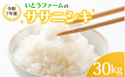 いとうファームの令和7年産「ササニシキ」玄米 30kg（30kg×1袋） ※2025年11月より順次発送予定