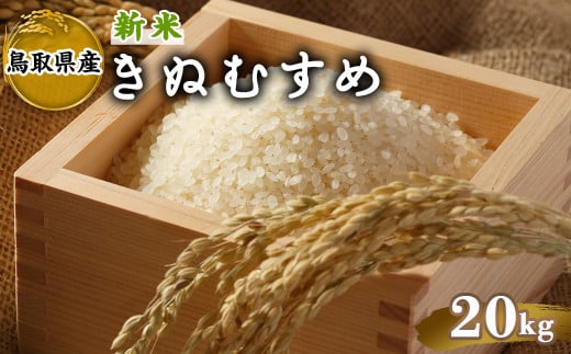 ＜2025年10月中旬～2026年8月下旬発送予定＞＜数量限定＞令和7年産新米鳥取県産きぬむすめ(20kg)【sm-DD066】【Workplays】 2144787 - 鳥取県境港市