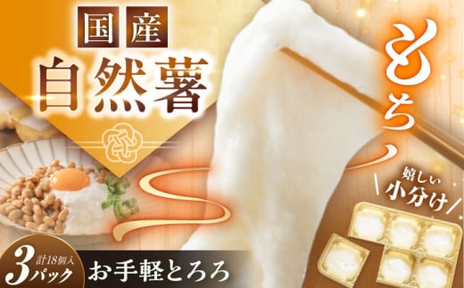 自然薯冷凍とろろ（180g×3）540g / 自然薯 とろろ 小分け / 恵那市 / 水戸屋 [AUFZ003]