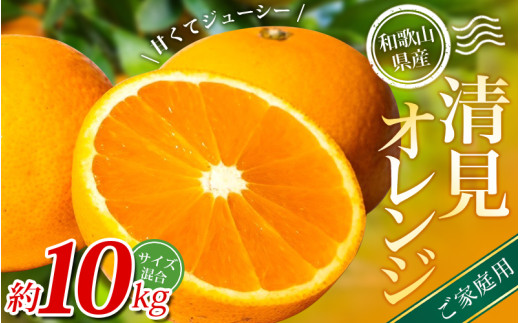 【家庭用】 森本農園の手選別 清見オレンジ 約10kg 和歌山県産 サイズ混合 ※2026年2月上旬～5月中旬頃順次発送 / きよみ 清見 柑橘 ご家庭用 期間限定 由良町 果物 フルーツ 和歌山県【mrmt039A】 2069871 - 和歌山県由良町