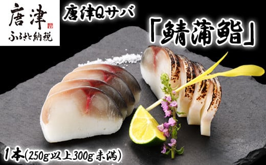 生の新食感 唐津Qサバ「鯖蒲鮨」1本(250g以上～300g未満) さば 蒲鉾 かまぼこ おつまみ ギフト 鯖 サバ 唐津 Qサバ 鯖鮨 呼福 大志 水産 魚 海鮮 水産加工