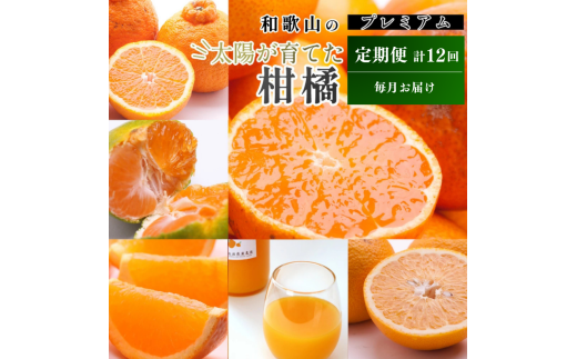 【1～12月】柑橘 定期便 M 家庭用【全12回】【和歌山】 ※北海道・沖縄・離島への配送不可 / 定期便 フルーツ はっさく せとか 不知火 清見オレンジ カラマンダリン みかんゼリー ハウスみかん ゆら早生 有田みかん 12回 //teiki 2151070 - 和歌山県広川町