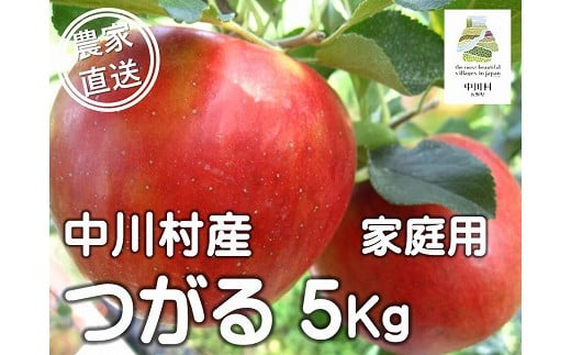 担当者おすすめ「味覚の里なかがわ」の旬のくだもの（つがる自家用５Kg箱）８月20～31日頃発送