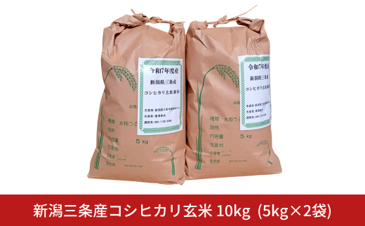 先行予約 新潟県三条市産 コシヒカリ 玄米 10kg (5kg×2袋) 令和7年産 コシヒカリ こしひかり 新潟県産 玄米 【026S047】