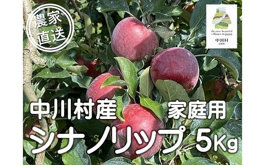 担当者おすすめ「味覚の里なかがわ」の旬のくだもの（シナノリップ自家用５Kg箱）８月10～16日頃発送