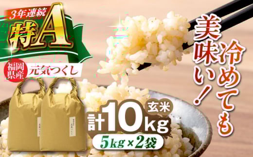 福岡県産 元気つくし 玄米 10kg (5kg×2袋) 吉富町/株式会社ベネフィス [BGAF020]