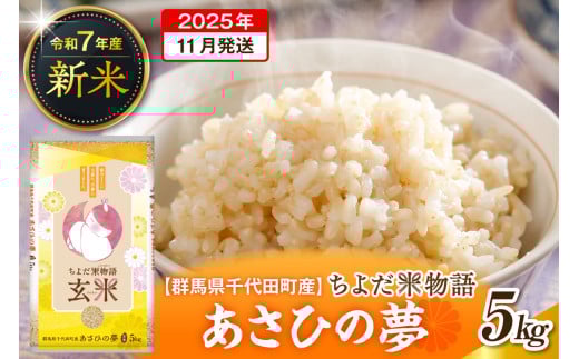 2025年11月発送【令和7年度産】群馬県千代田町産 あさひの夢 5kg×1袋 (玄米) 群馬県 千代田町
