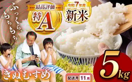 令和7年度産 新米 きぬむすめ 白米 5kg 先行予約 ＜ 2025年11月～より順次発送予定 ＞ ｜ 精米 新米 白米 米 お米 コメ 単一米 きぬむすめ 山口 美祢 秋吉台 5kg
