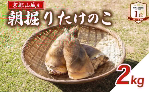 【京都山城産】朝掘りたけのこ 2kg 白子筍 朝掘り 新鮮 京都 筍 竹の子  京たけのこ 国産 京都山城 産 京野菜 野菜 国産 炊き込みご飯 煮物 旬 春 井手町 【237】