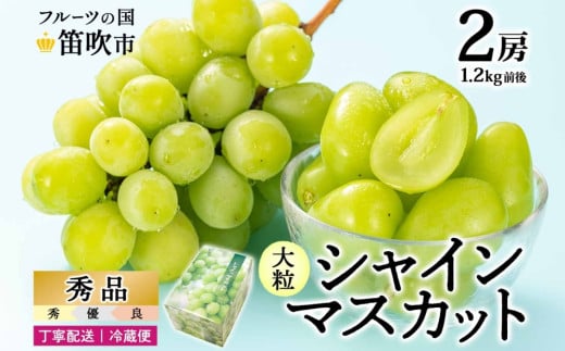 ＜25年発送先行予約＞シャインマスカット 2房 1.2kg前後※クール便配送 177-009