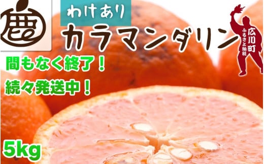 カラマンダリン 5kg+150g（痛み補償分） 家庭用 / カラ カラオレンジ カラみかん 南津海 なつみ 訳あり 和歌山 有田 柑橘 晩柑 ※4月上旬〜7月中旬に順次発送 ※北海道・沖縄・離島への配送不可 【ikd015-c-5B】 2150612 - 和歌山県広川町