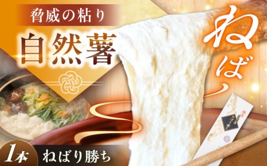 【伊勢神宮外宮奉納】　自然薯『ねばり勝ち』 1本入 / 自然薯 じねんじょ とろろ / 恵那市 / 水戸屋 [AUFZ007]