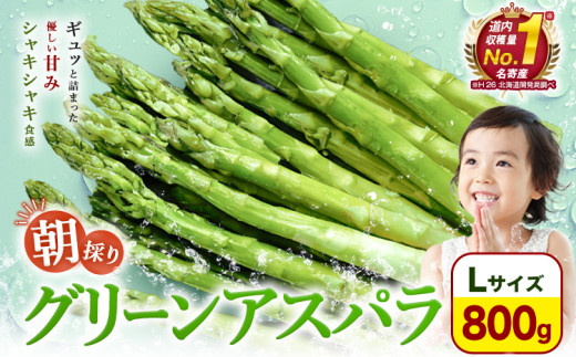 【先行予約】朝採りアスパラガス Lサイズ(800g) 《2026年5月中旬-5月下旬頃出荷予定》北海道 名寄市 送料無料 朝採り 新鮮 アスパラ 1434590 - 北海道名寄市